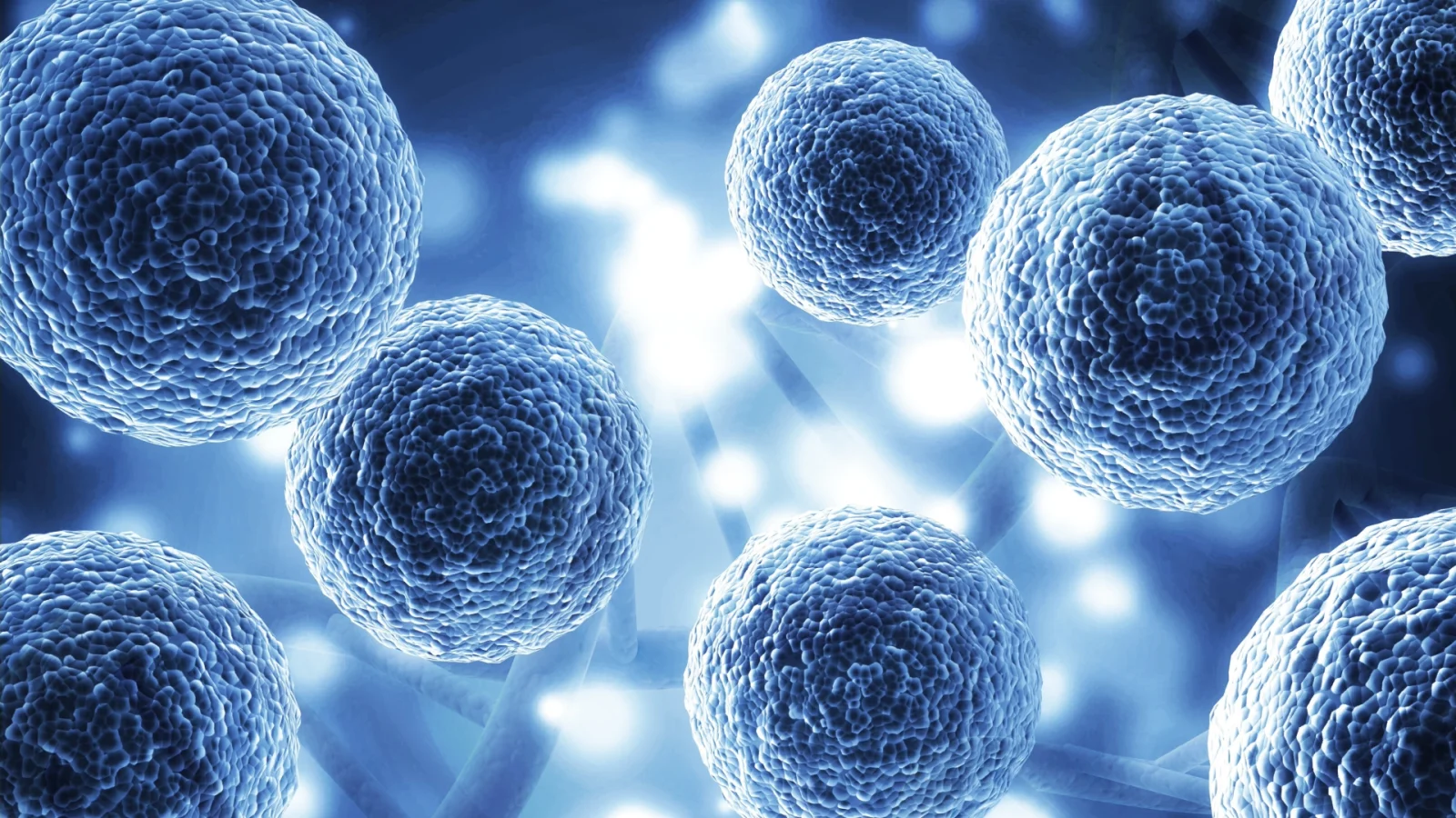 Memahami Stem Cell