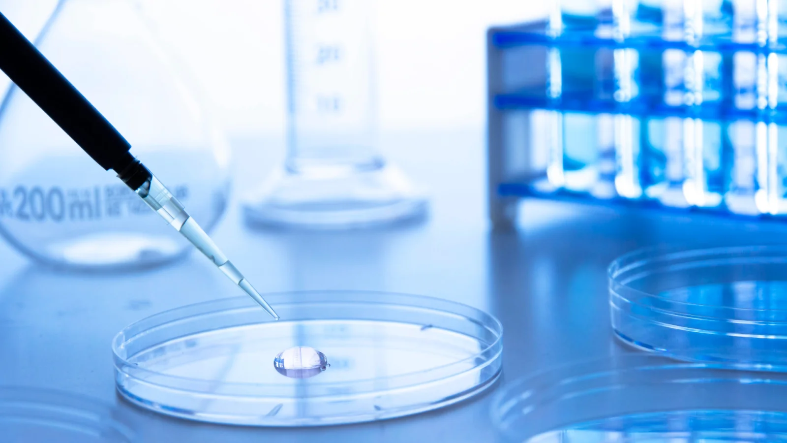 Stem Cells and Their Role in Regenerative Medicine
